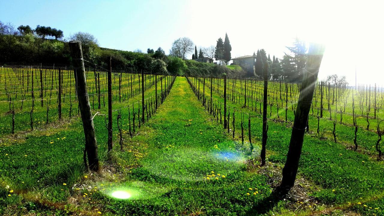 Agriturismo La Guarda Picedo Zewnętrze zdjęcie