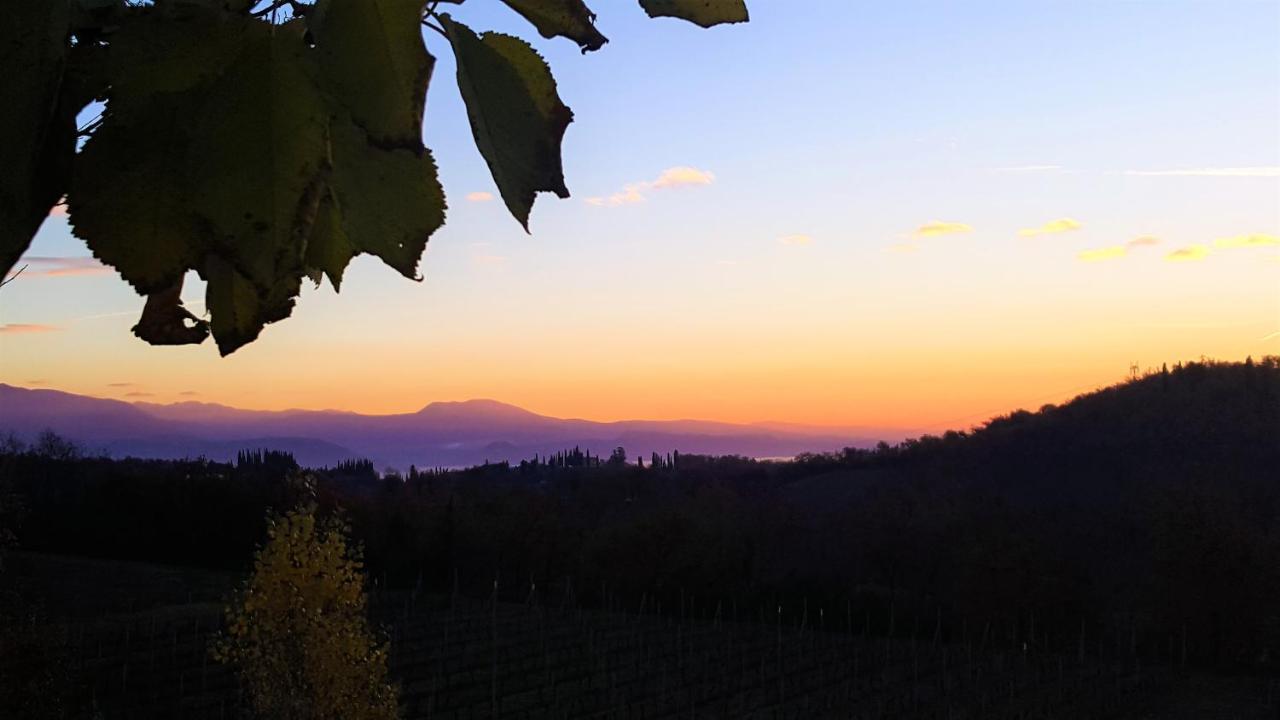 Agriturismo La Guarda Picedo Zewnętrze zdjęcie