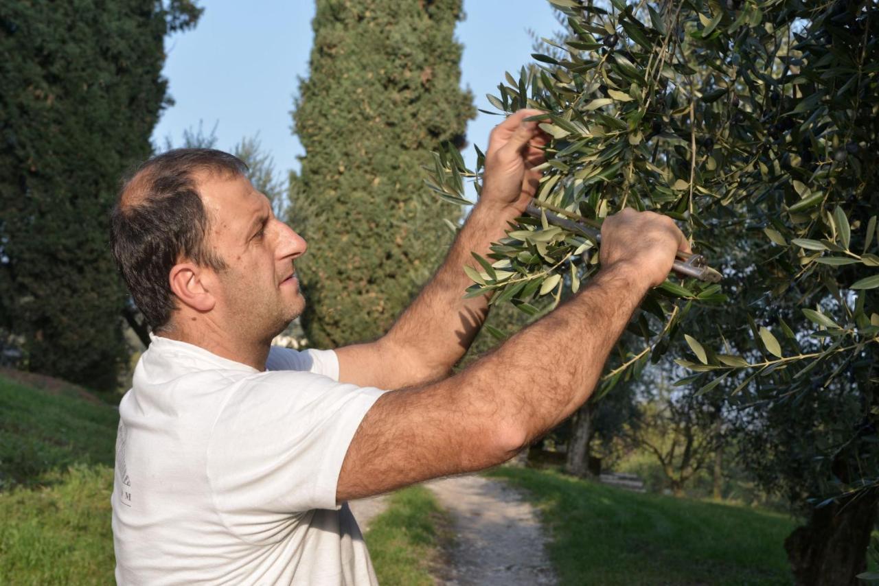 Agriturismo La Guarda Picedo Zewnętrze zdjęcie