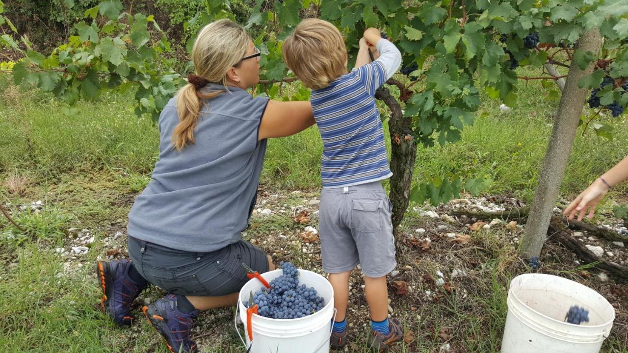 Agriturismo La Guarda Picedo Zewnętrze zdjęcie