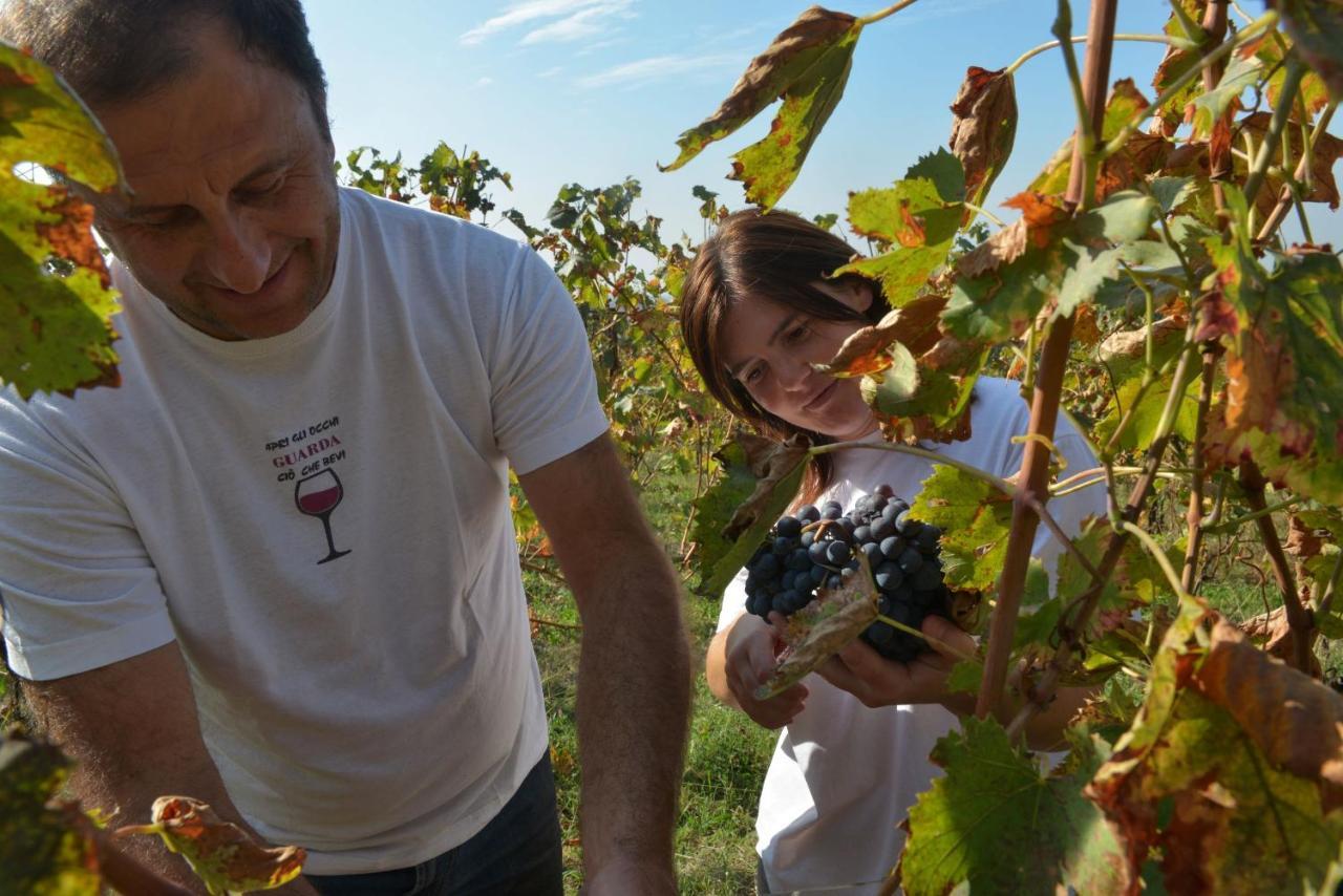 Agriturismo La Guarda Picedo Zewnętrze zdjęcie