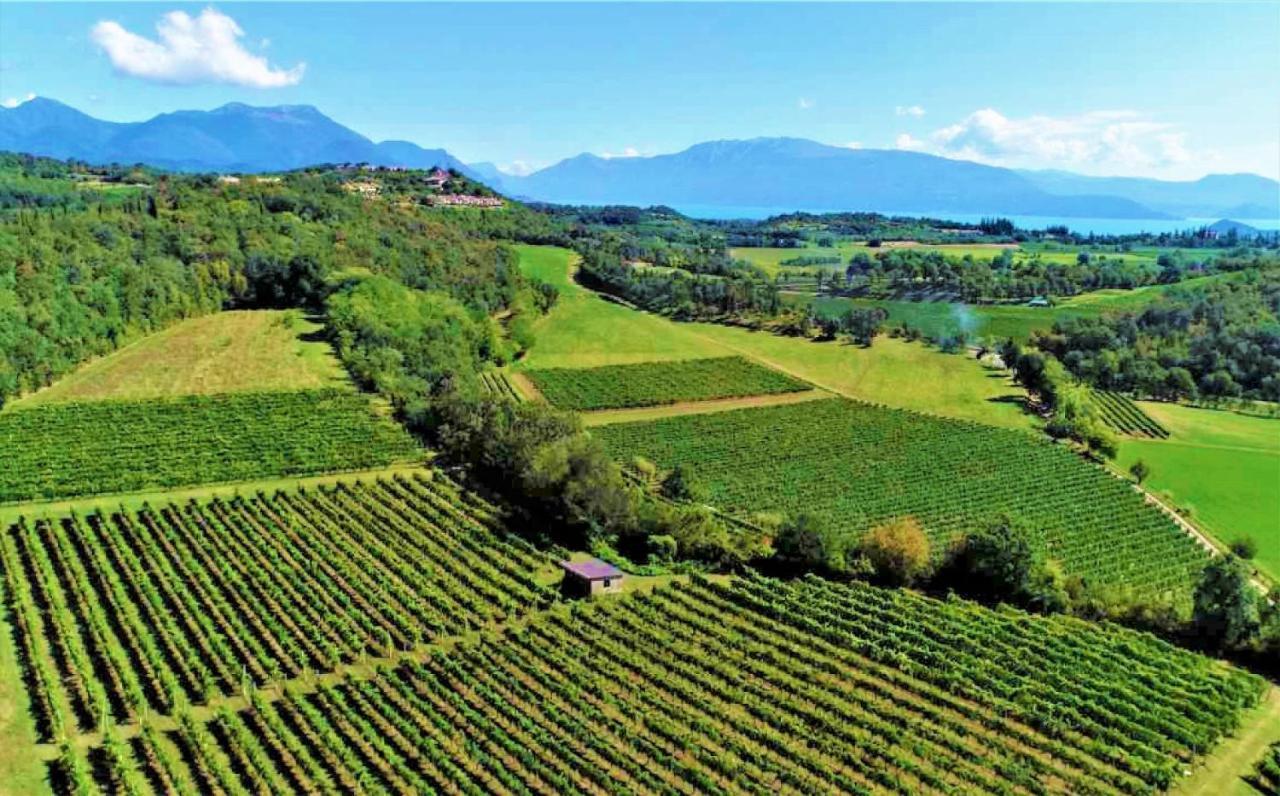 Agriturismo La Guarda Picedo Zewnętrze zdjęcie